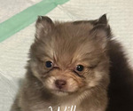 Small #9 Breeder Profile image