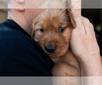 Small #40 Breeder Profile image