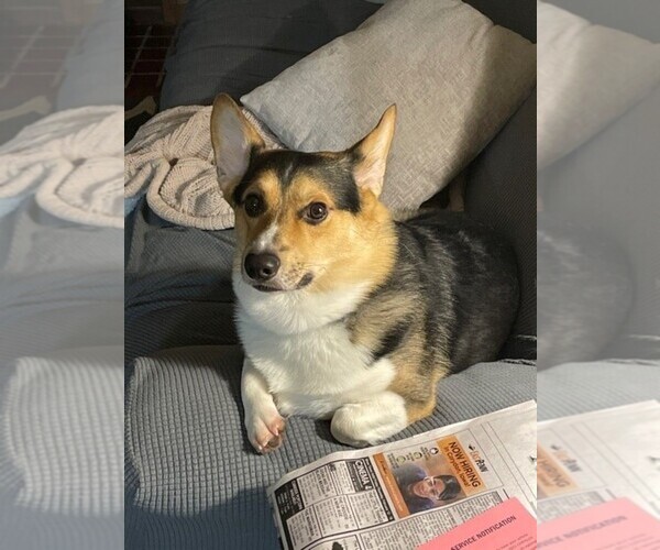 Medium Photo #1  Breeder Profile in CENTERVILLE, IA, USA