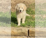 Small #4 Breeder Profile image