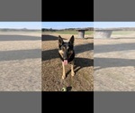 Small #3 Breeder Profile image