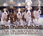 Small breeder photo