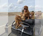 Small #21 Breeder Profile image
