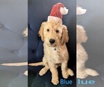 Small #5 Breeder Profile image