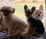 Small #1 Breeder Profile image