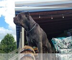 Small #5 Breeder Profile image