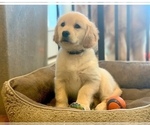 Small #3 Breeder Profile image