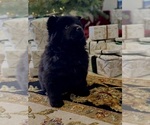 Small #7 Breeder Profile image