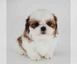Small breeder photo
