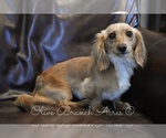 Small #2 Breeder Profile image