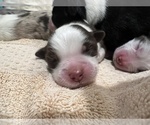 Small #3 Breeder Profile image