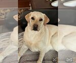 Small #5 Breeder Profile image