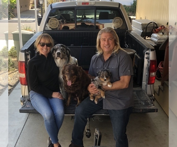 Medium Photo #95  Breeder Profile in SUNNYVALE, CA, USA