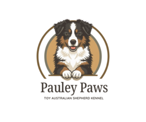 Miniature American Shepherd Dog Breeder near EASTANOLLEE, GA, USA