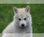 Small Photo #5  Breeder Profile in SAINT IGNATIUS, MT, USA