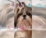 Small #6 Breeder Profile image