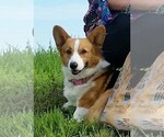 Small breeder photo
