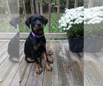Small breeder photo