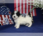 Small #76 Breeder Profile image