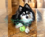 Small #16 Breeder Profile image