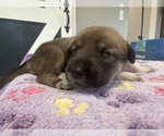Small #28 Breeder Profile image