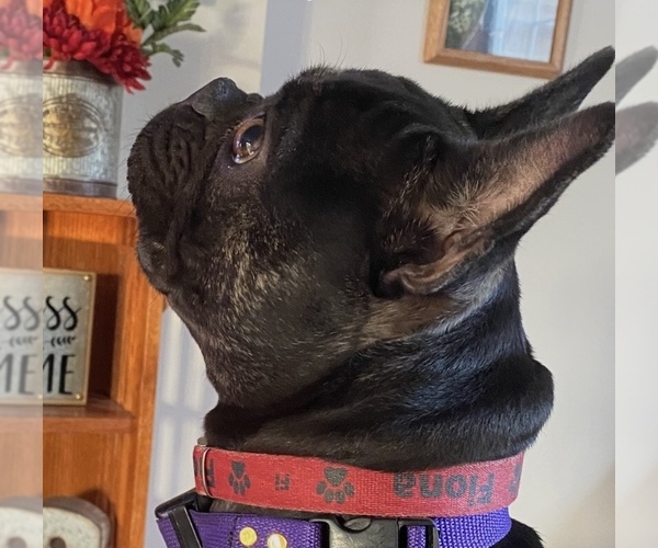 Medium Photo #1  Breeder Profile in BURLINGTON, WI, USA