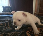 Small #6 Breeder Profile image