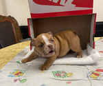 Small #4 Breeder Profile image