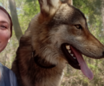 Small #15 Breeder Profile image