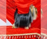 Small #34 Breeder Profile image