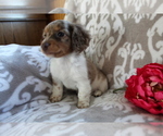 Small #5 Breeder Profile image