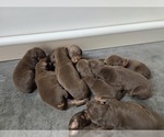 Small #5 Breeder Profile image