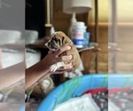 Small #13 Breeder Profile image