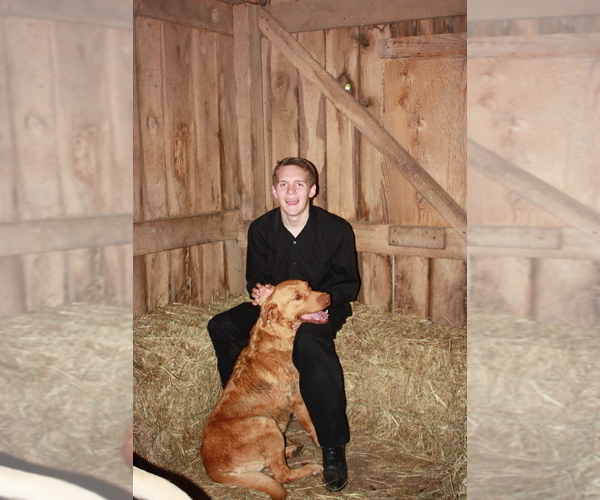Medium Photo #1  Breeder Profile in MAMMOTH SPRING, AR, USA