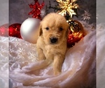 Small #29 Breeder Profile image