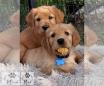 Small #6 Breeder Profile image