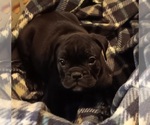Small #7 Breeder Profile image