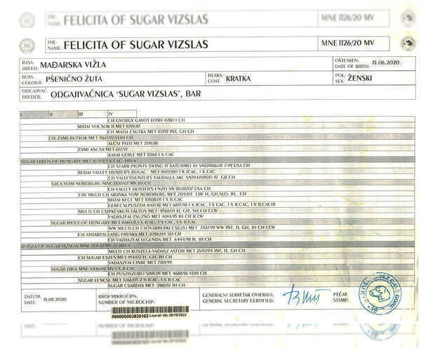 Medium Photo #3  Breeder Profile in LOS GATOS, CA, USA