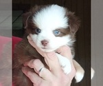 Small #35 Breeder Profile image