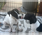 Small #20 Breeder Profile image