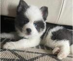 Small #16 Breeder Profile image