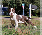 Small #2 Breeder Profile image
