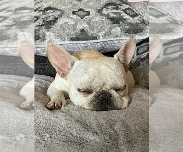 Medium Photo #1  Breeder Profile in HARROLD, SD, USA