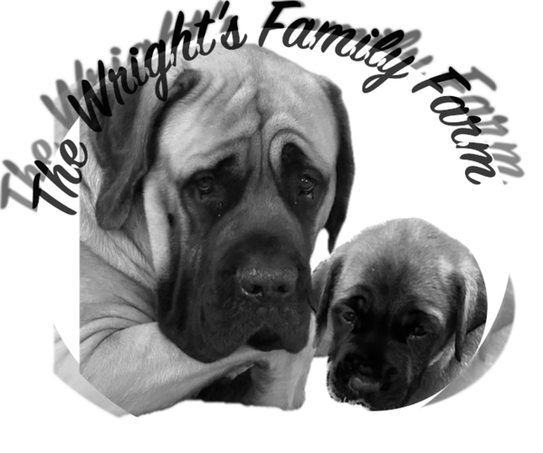 Medium Photo #1  Breeder Profile in OLATHE, KS, USA