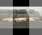 Small #3 Breeder Profile image