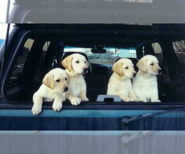 Medium Photo #1  Breeder Profile in SHAWANO, WI, USA