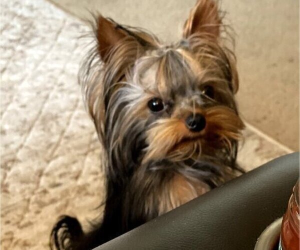 Medium Photo #1  Breeder Profile in EGG HARBOR, WI, USA