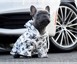 Small #2 Breeder Profile image