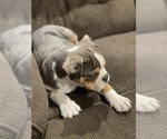 Small #2 Breeder Profile image