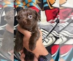 Small #75 Breeder Profile image